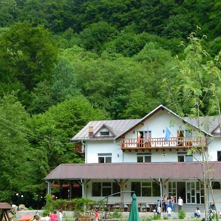Pensiunea Valea Negrasului Trăisteni Eksteriør bilde