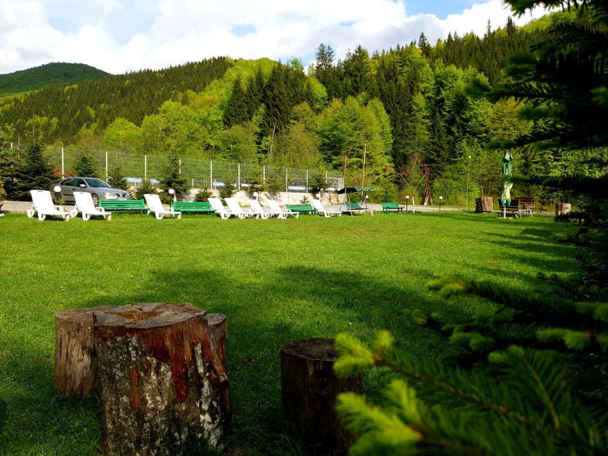 Pensiunea Valea Negrasului Trăisteni Eksteriør bilde