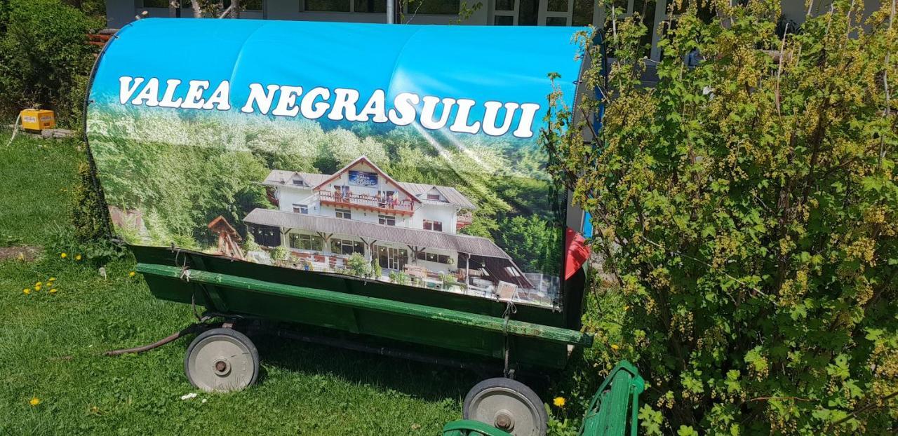 Pensiunea Valea Negrasului Trăisteni Eksteriør bilde