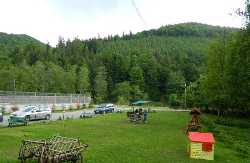 Pensiunea Valea Negrasului Trăisteni Eksteriør bilde